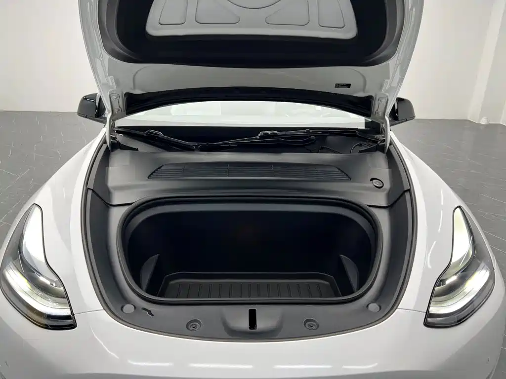 Tesla Model Y — фото 25