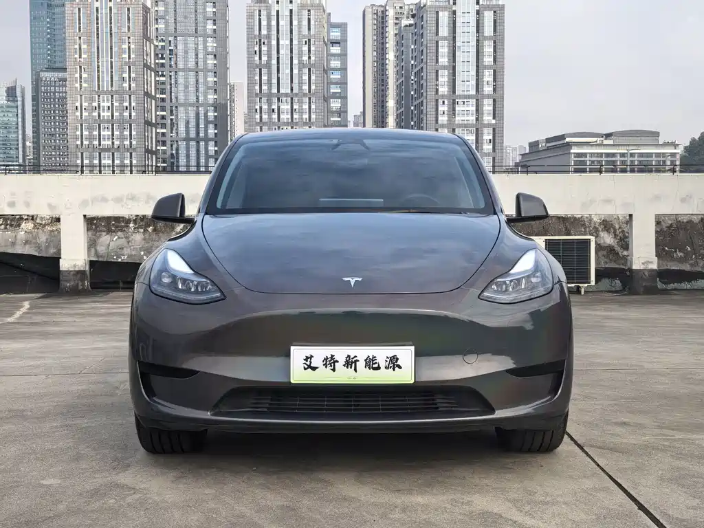 Tesla Model Y — фото 2