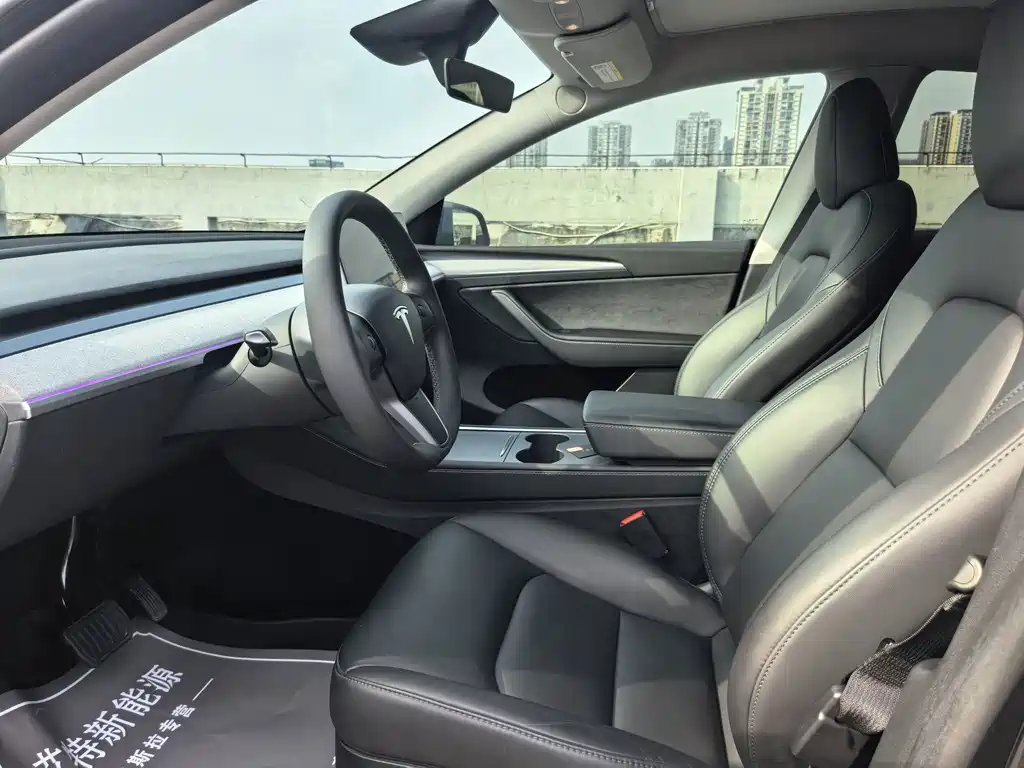 Tesla Model Y — фото 14