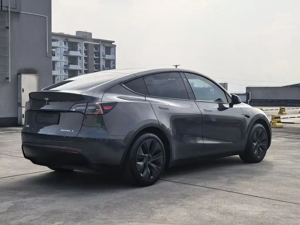 Tesla Model Y — фото 4