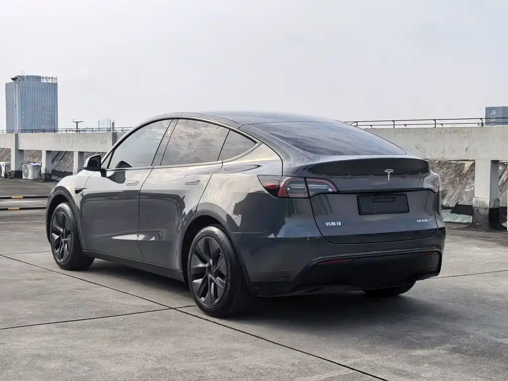 Tesla Model Y — фото 5