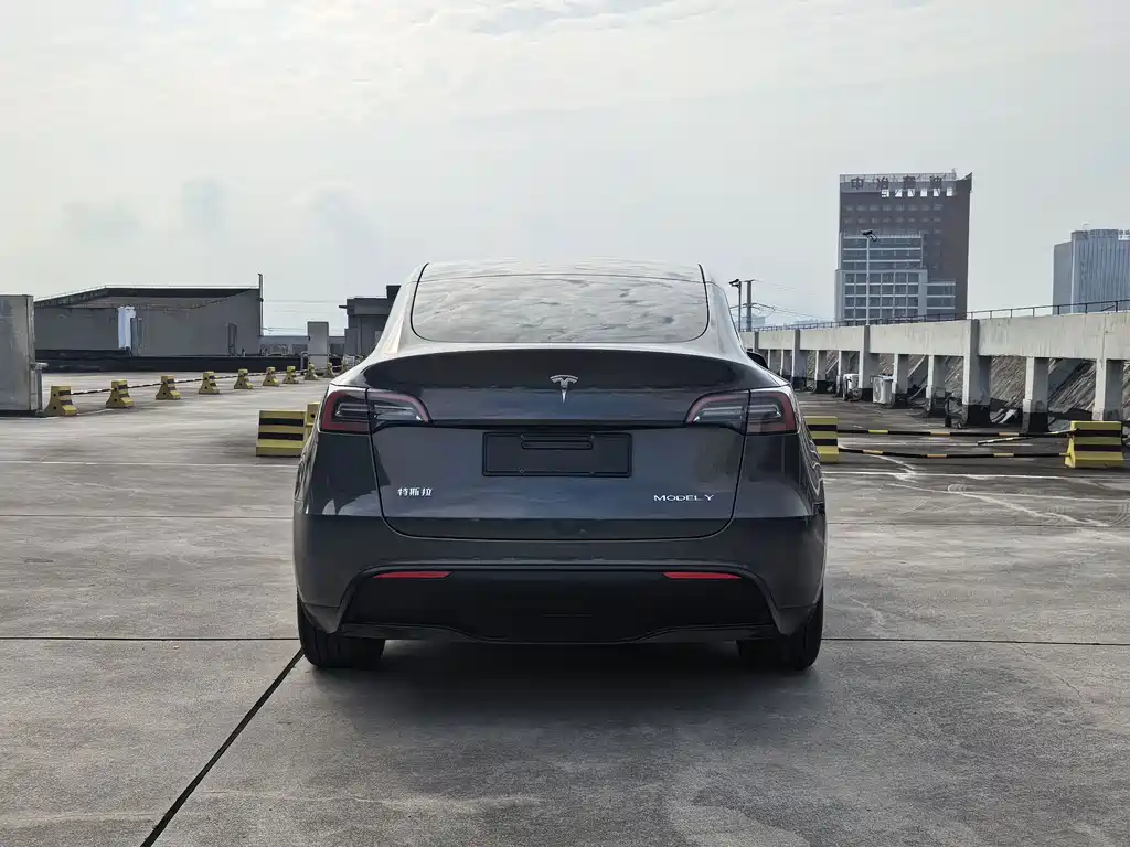 Tesla Model Y — фото 8