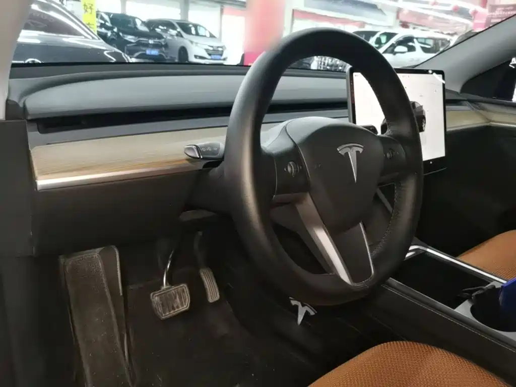 Tesla Model Y — фото 10