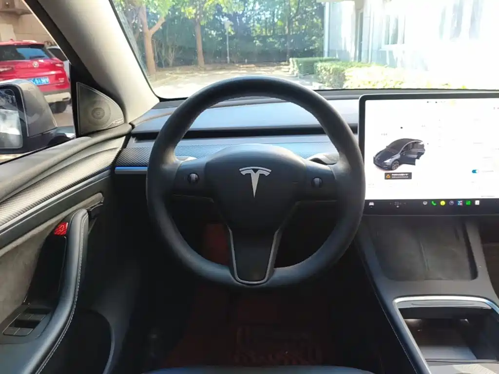 Tesla Model Y — фото 11
