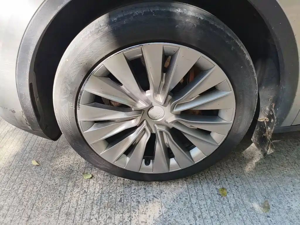 Tesla Model Y — фото 23