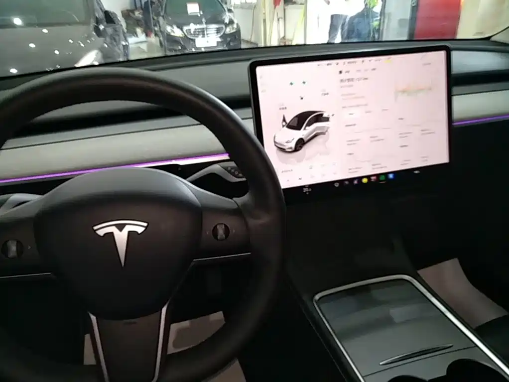 Tesla Model Y — фото 14