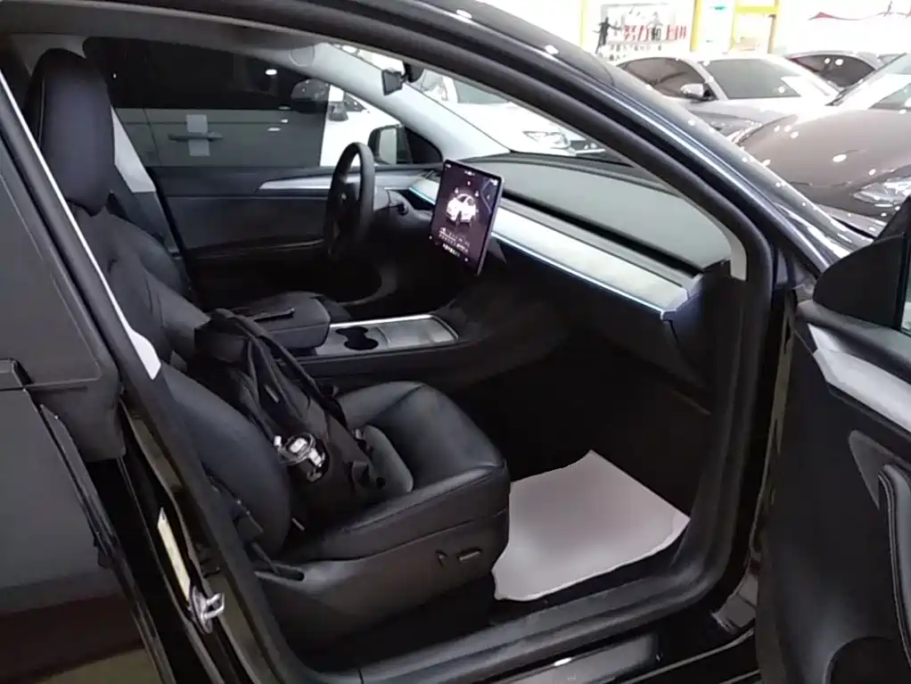 Tesla Model Y — фото 25