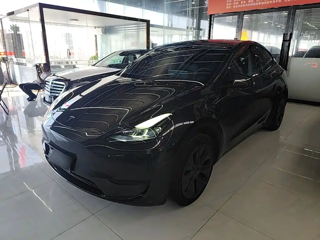 Tesla Model Y — фото 2