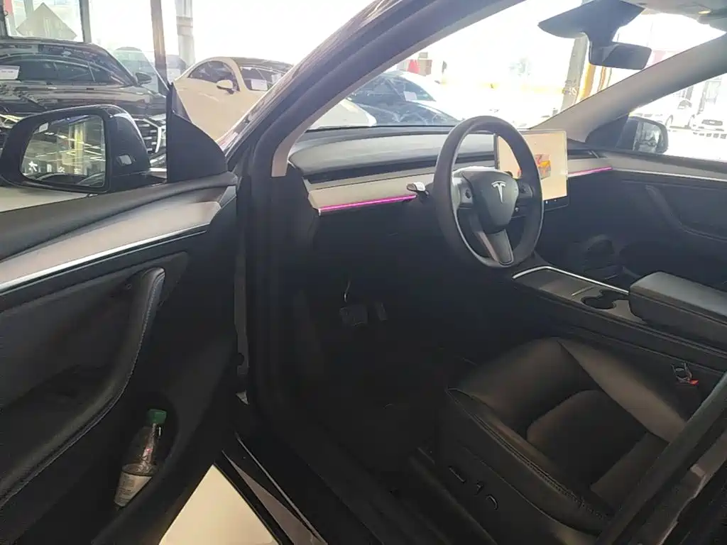 Tesla Model Y — фото 16