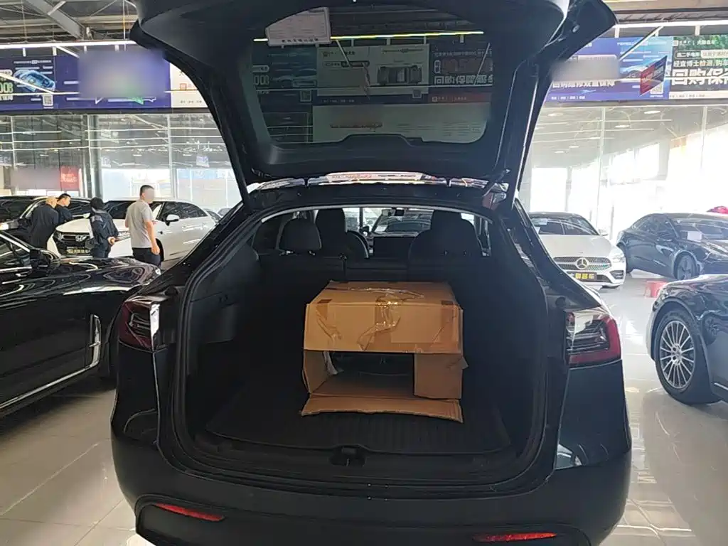 Tesla Model Y — фото 19