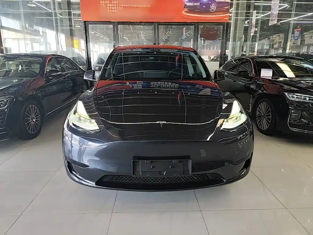 Tesla Model Y — фото 3