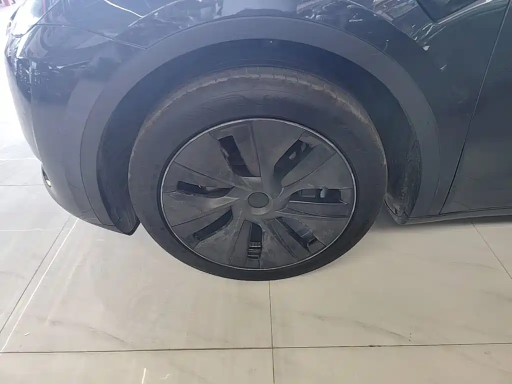 Tesla Model Y — фото 23