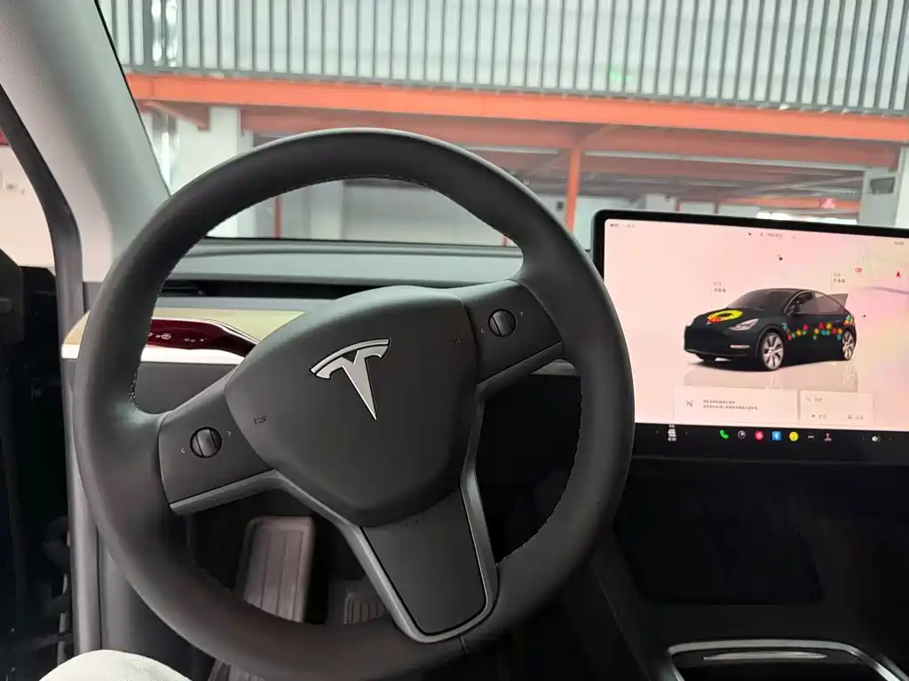 Tesla Model Y — фото 11