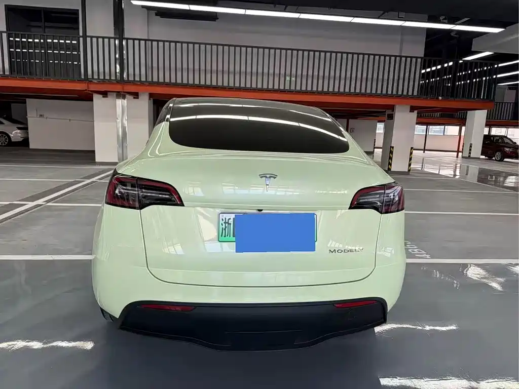 Tesla Model Y — фото 14