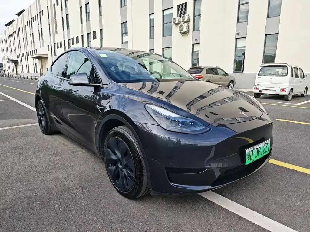 Tesla Model Y — фото 3