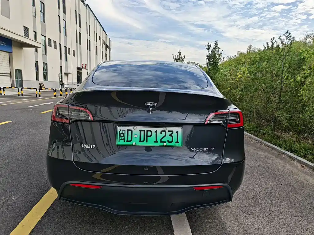 Tesla Model Y — фото 5