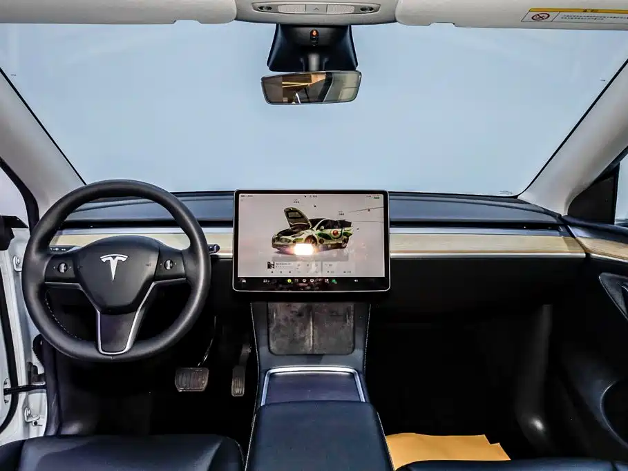 Tesla Model Y — фото 21