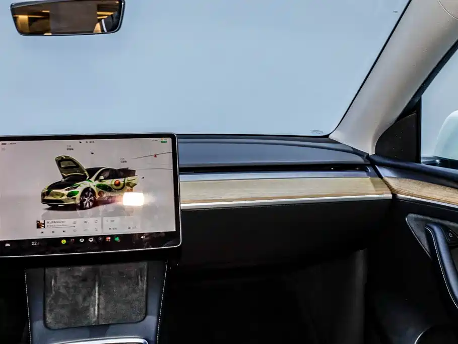 Tesla Model Y — фото 23