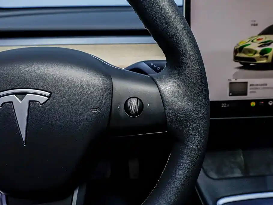 Tesla Model Y — фото 14