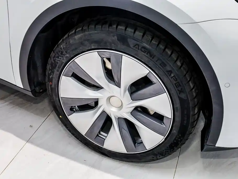 Tesla Model Y — фото 29