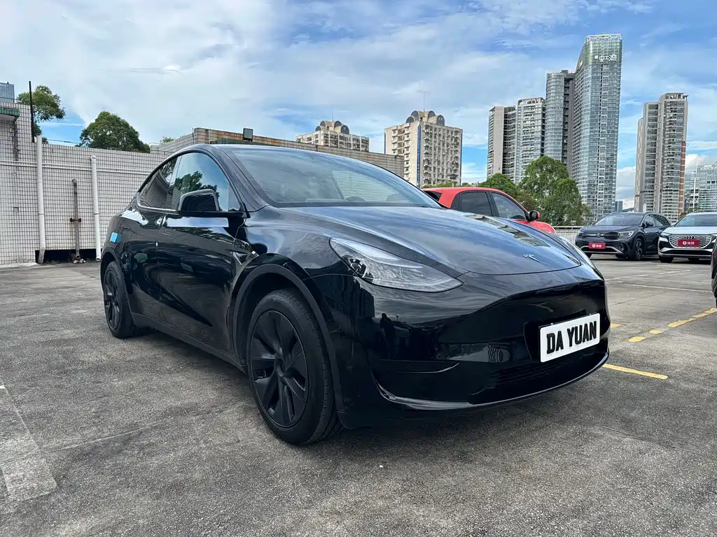 Tesla Model Y — фото 3