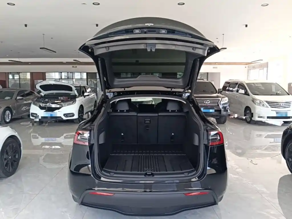 Tesla Model Y — фото 19