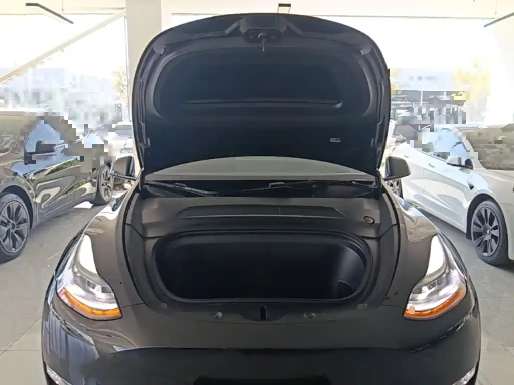 Tesla Model Y — фото 20