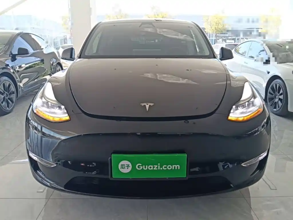Tesla Model Y — фото 3