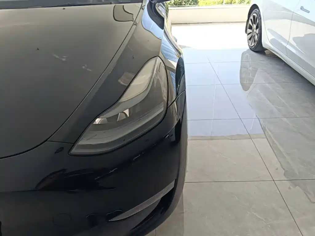 Tesla Model Y — фото 24