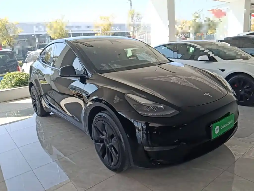 Tesla Model Y — фото 4