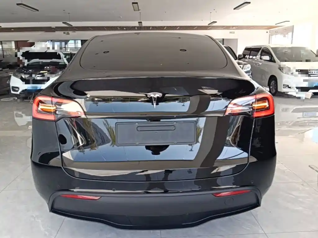 Tesla Model Y — фото 6