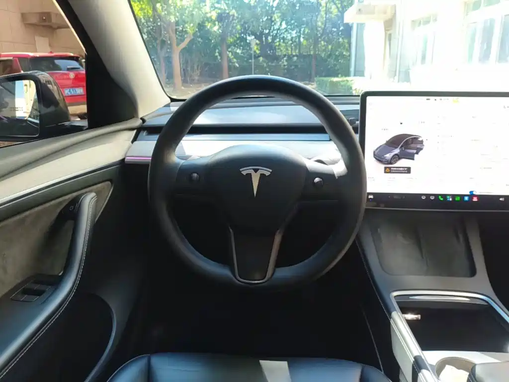 Tesla Model Y — фото 11