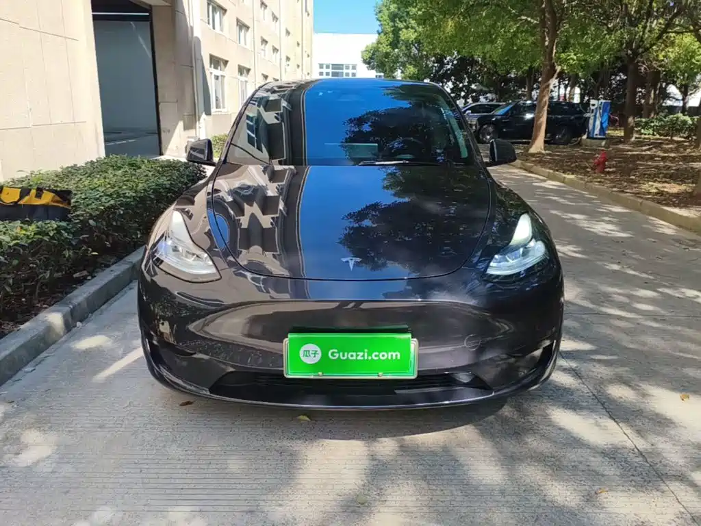 Tesla Model Y — фото 3