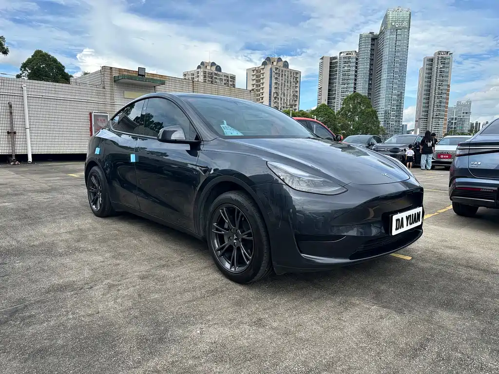 Tesla Model Y — фото 2
