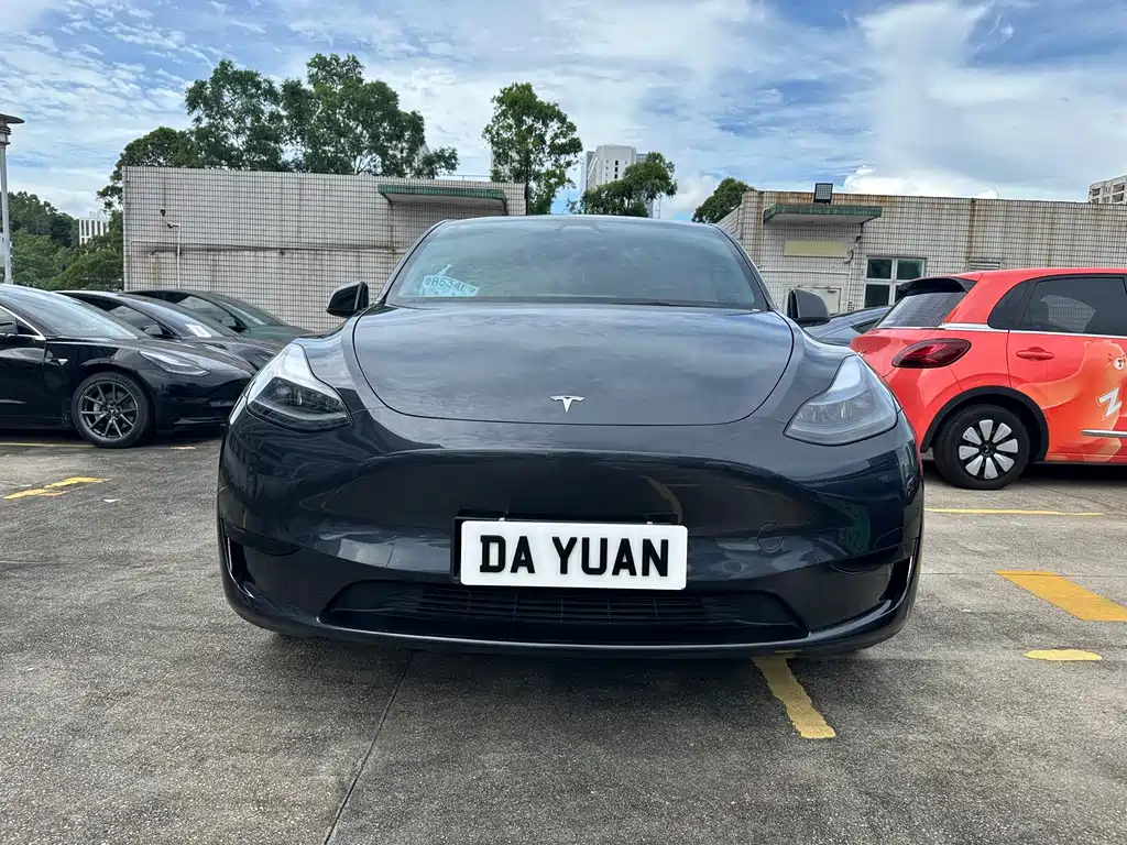 Tesla Model Y — фото 3