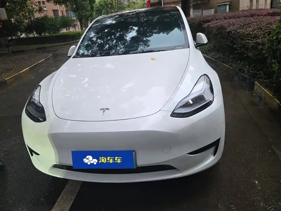 Tesla Model Y — фото 2