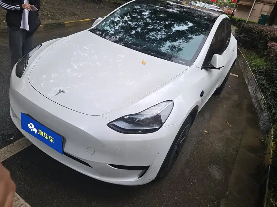 Tesla Model Y — фото 1
