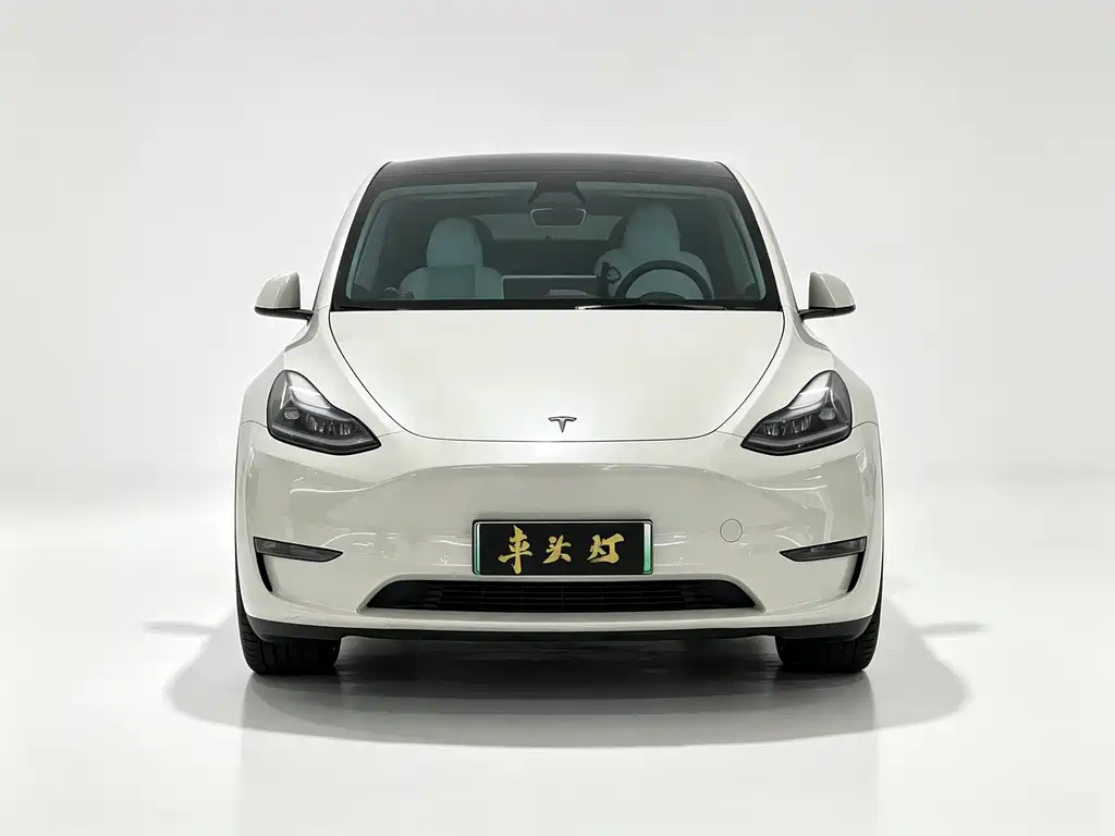 Tesla Model Y — фото 2