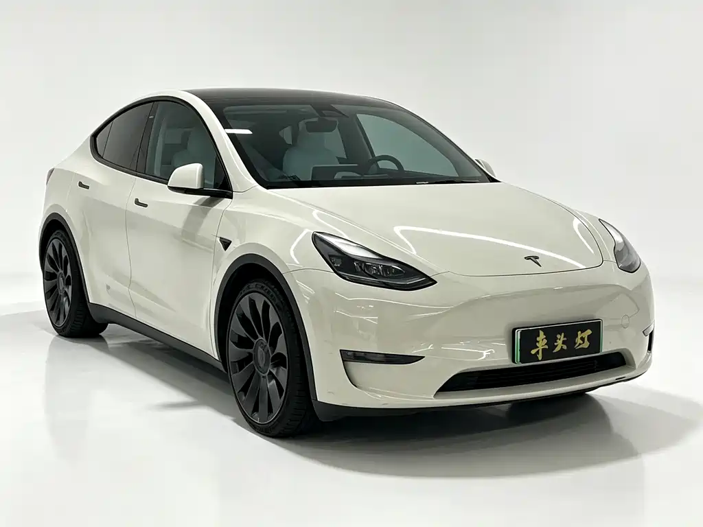 Tesla Model Y — фото 3