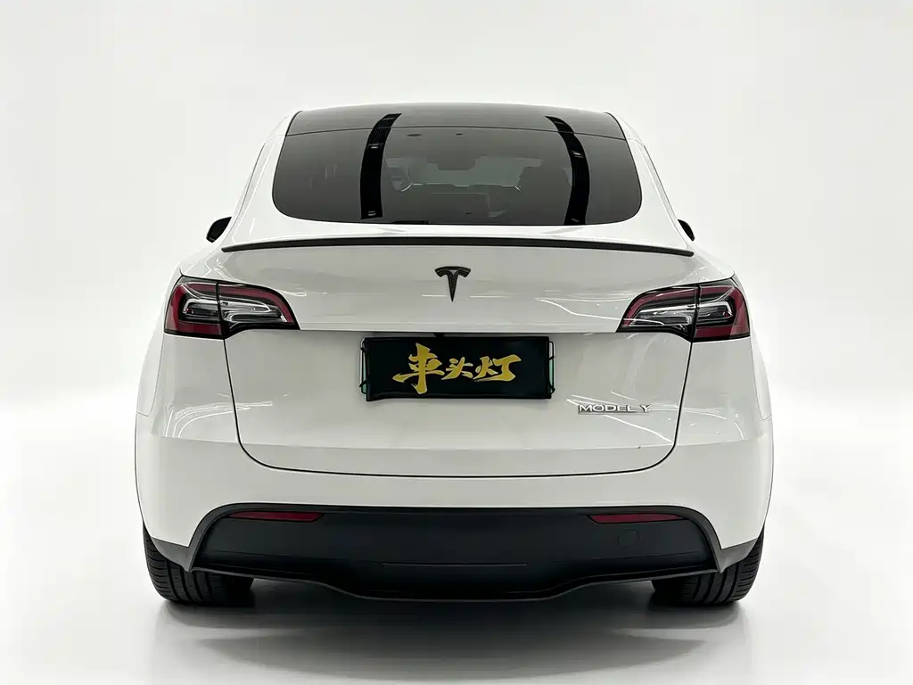 Tesla Model Y — фото 9