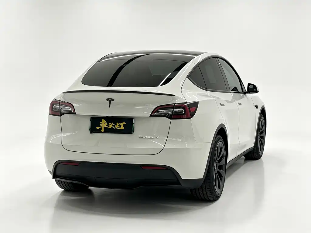 Tesla Model Y — фото 10