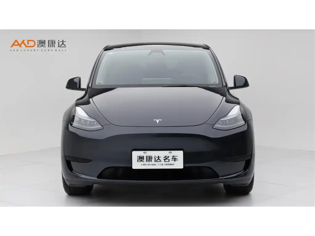 Tesla Model Y — фото 2
