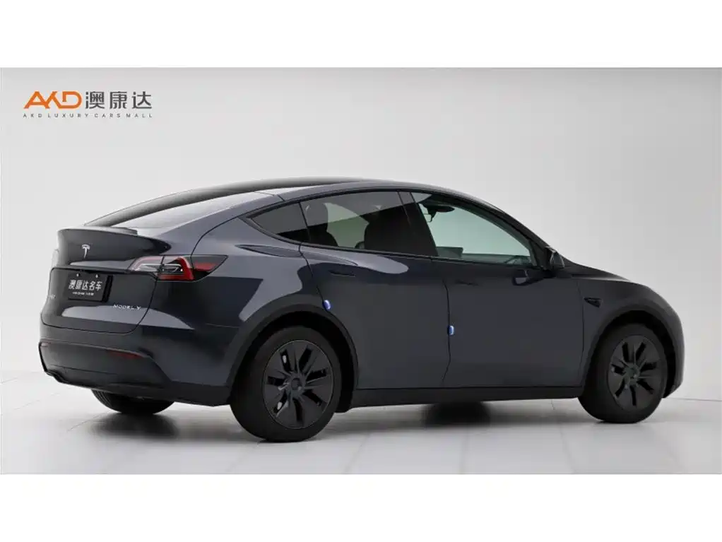 Tesla Model Y — фото 3