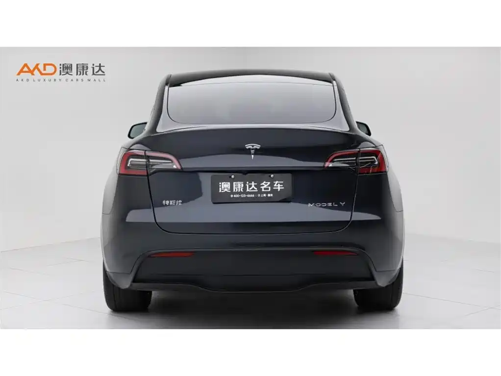 Tesla Model Y — фото 4
