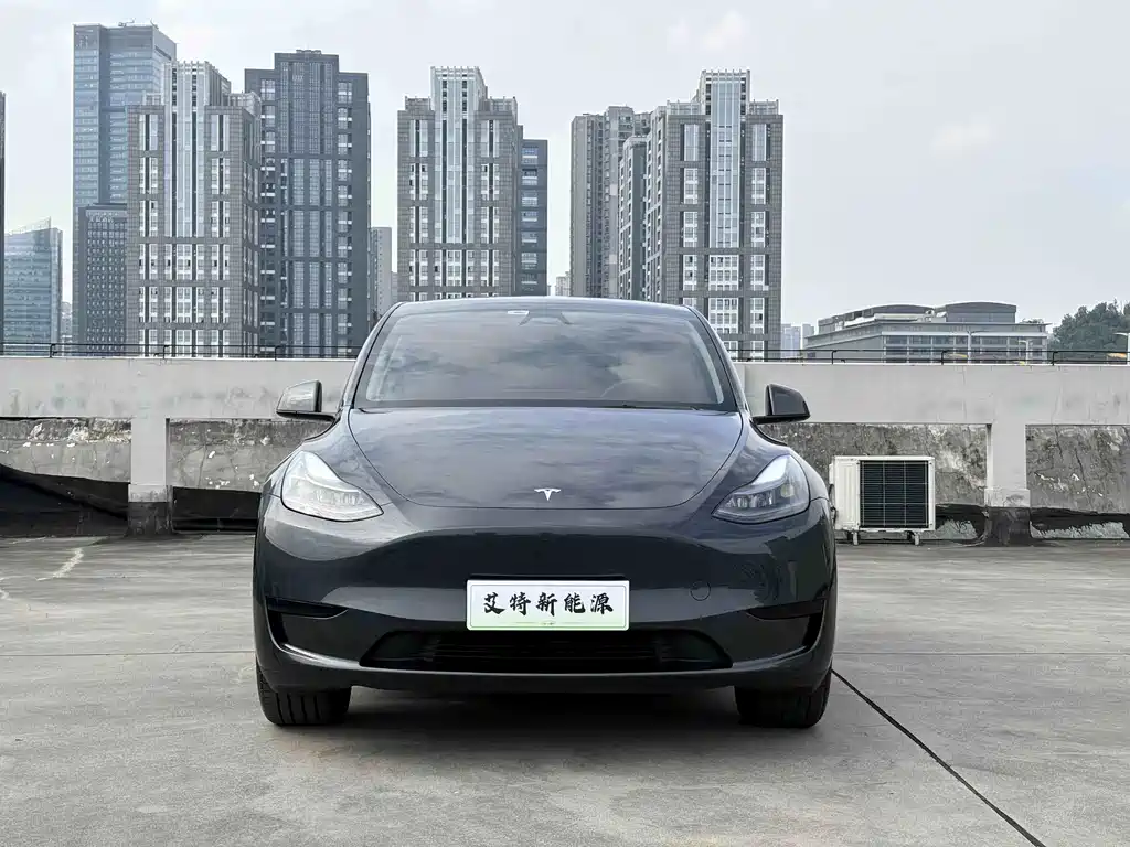 Tesla Model Y — фото 2
