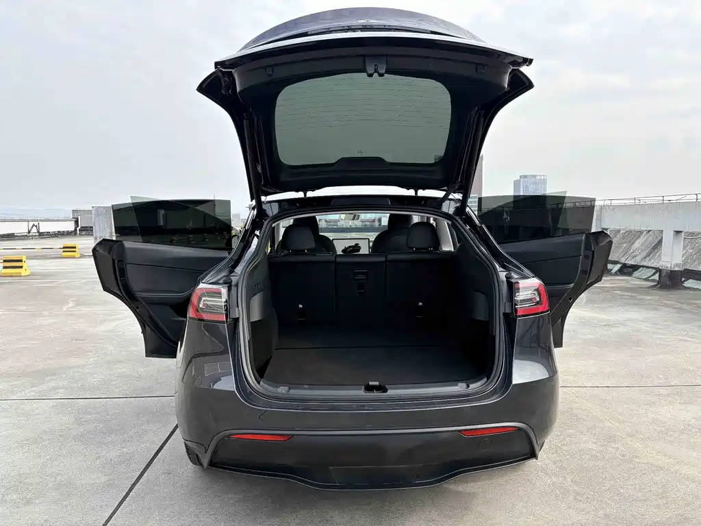 Tesla Model Y — фото 15