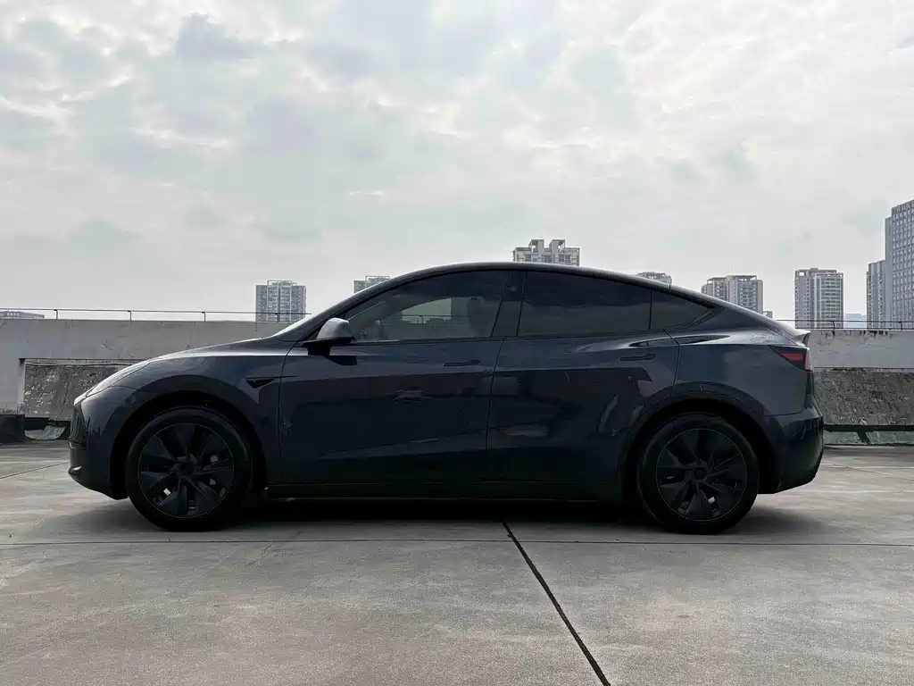 Tesla Model Y — фото 5