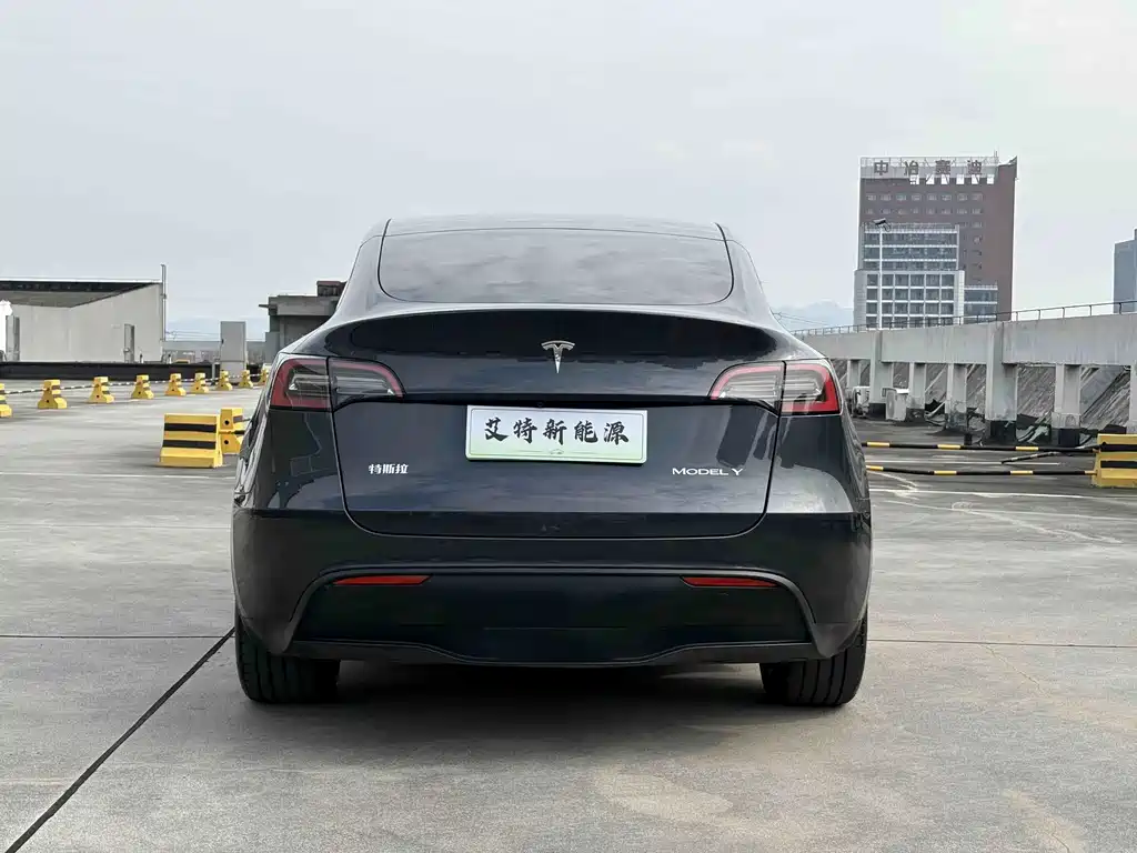 Tesla Model Y — фото 6