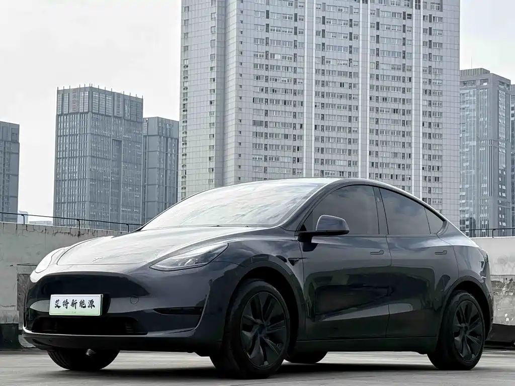 Tesla Model Y — фото 1