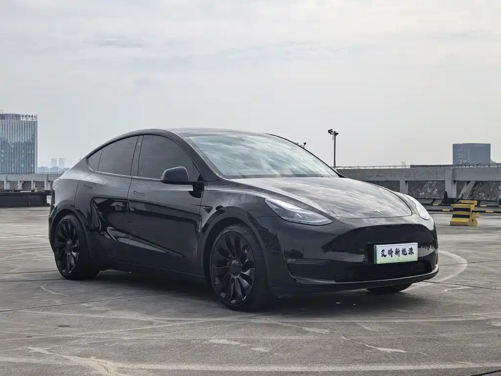 Tesla Model Y — фото 2